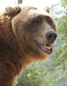 Bart The Bear