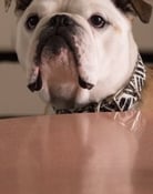 Nellie