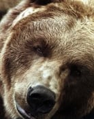 Bart the Bear II