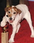 Uggie