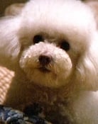 Darla