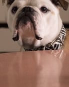 Nellie