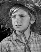 Kim Hector