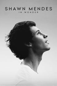 Shawn Mendes: In Wonder 🎬