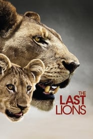 The Last Lions 🎬