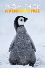 Snow Chick - A Penguin's Tale 🎬