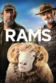 Rams 🎬