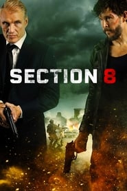Section 8 🎬